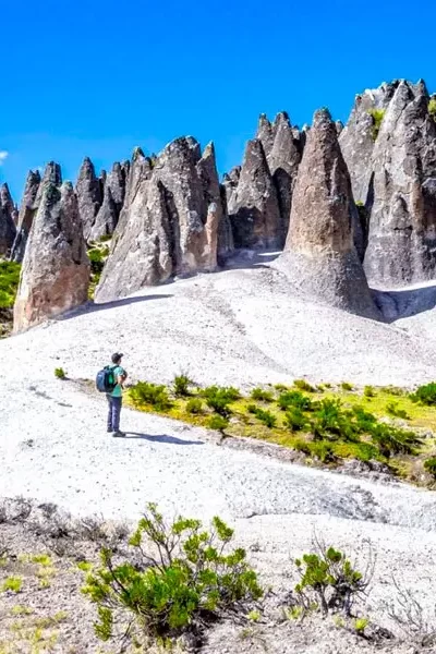 Bosque de Piedras - Pampachiri